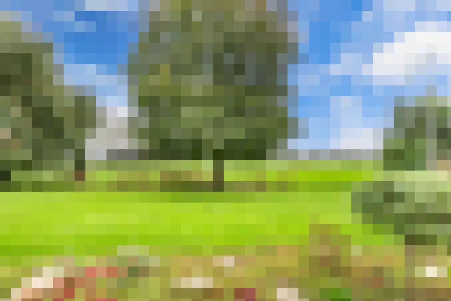 Uiterdijkenweg 36 Luttelgeest thumbnail 64