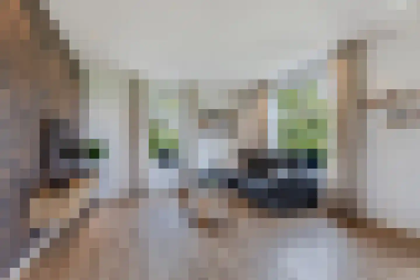 Uiterdijkenweg 36 Luttelgeest thumbnail 7