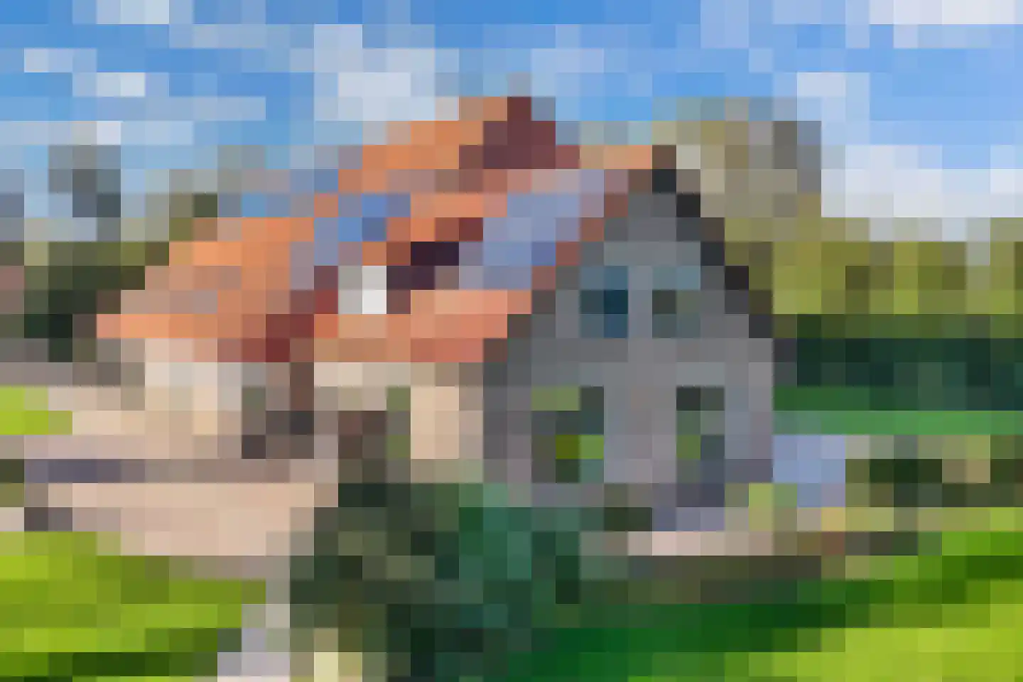 Uiterdijkenweg 36 Luttelgeest thumbnail 74
