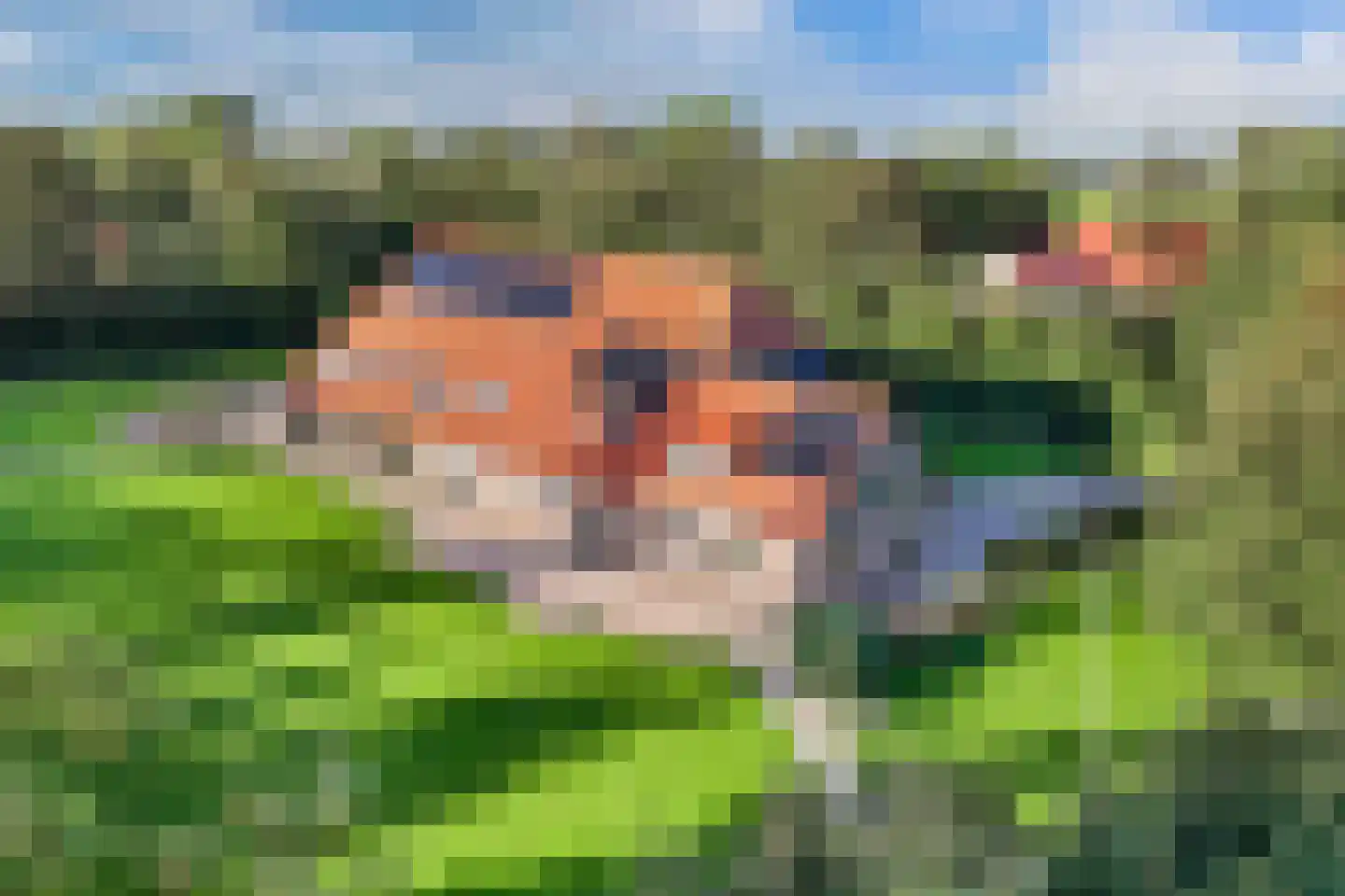 Uiterdijkenweg 36 Luttelgeest thumbnail 78