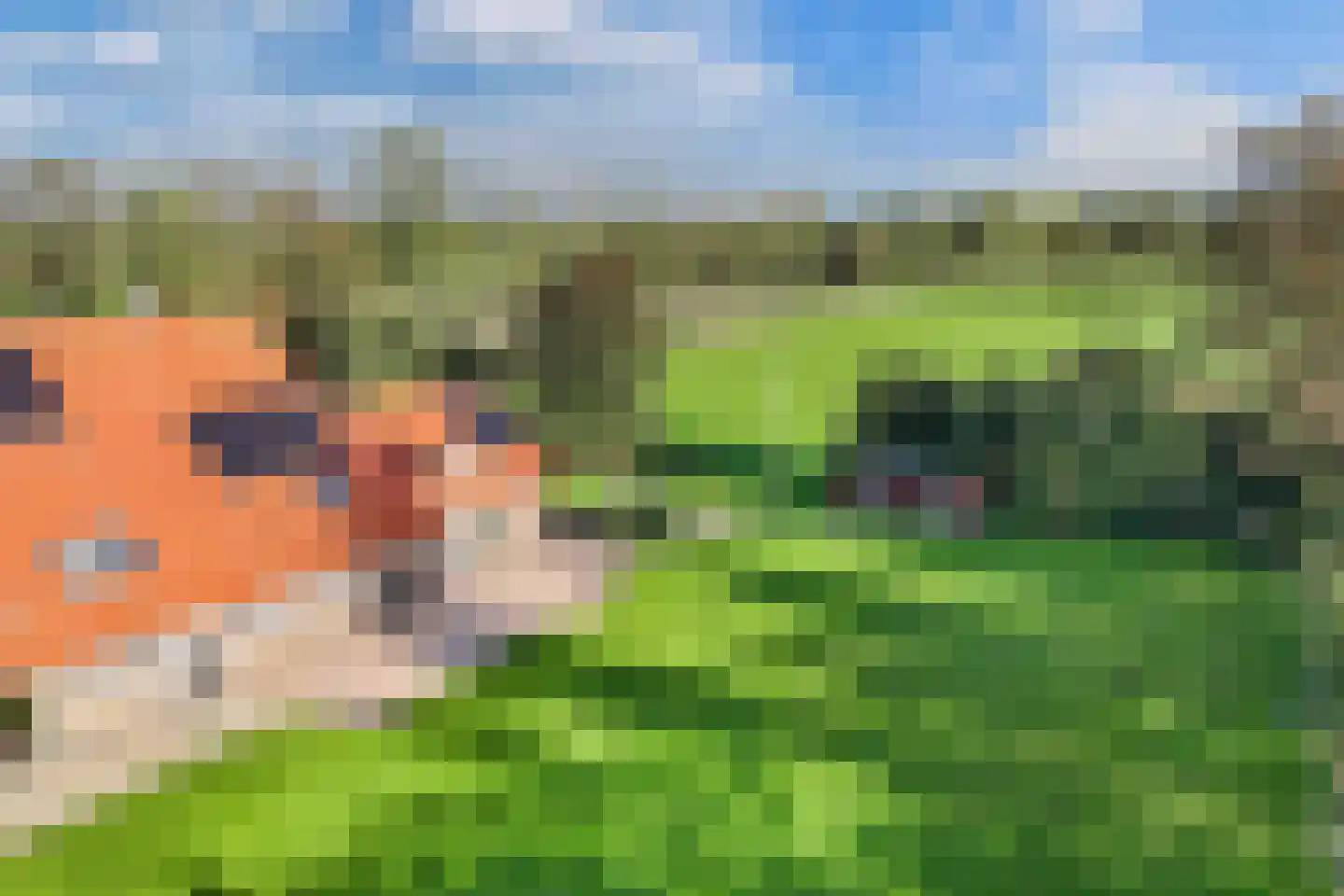 Uiterdijkenweg 36 Luttelgeest thumbnail 79