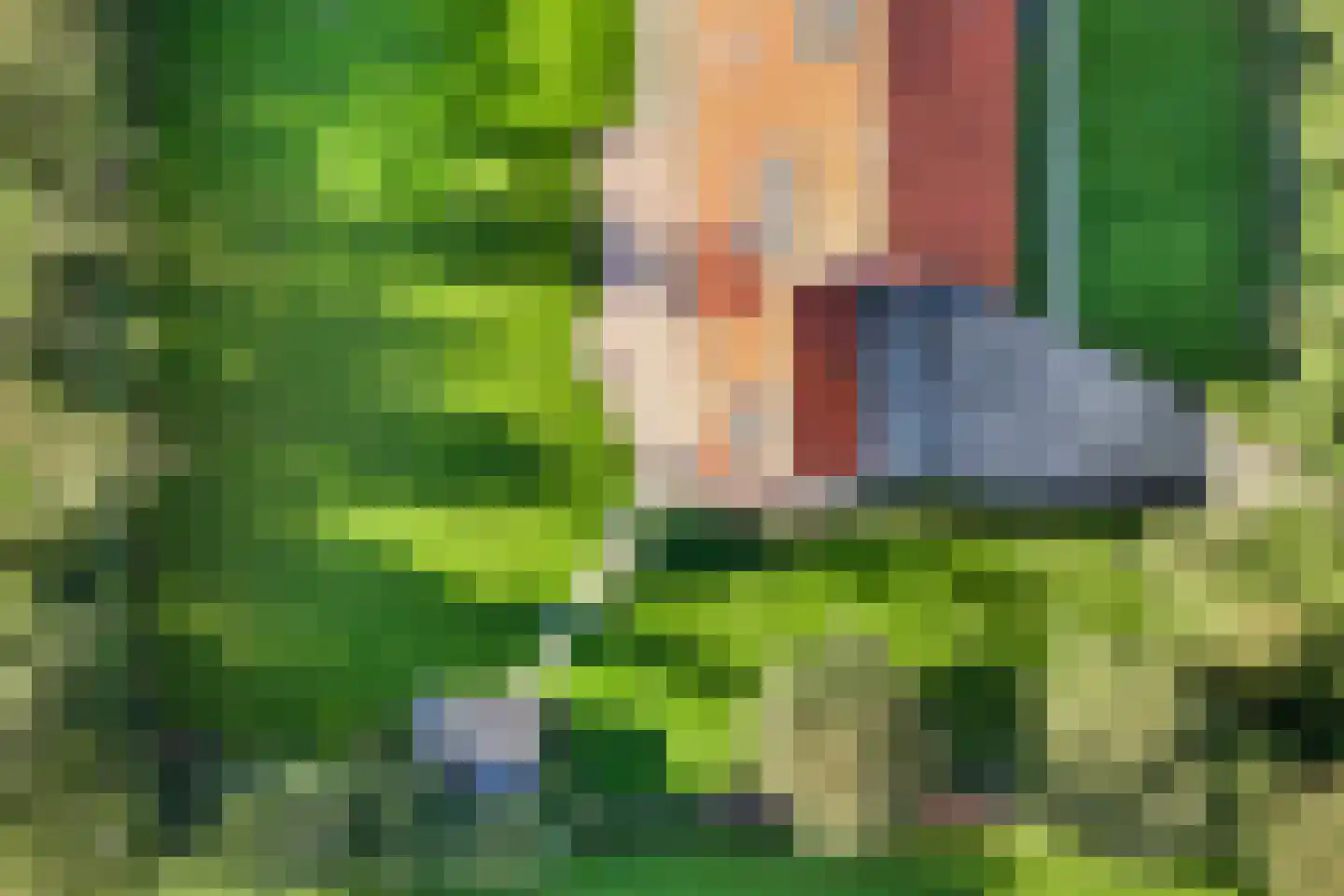 Uiterdijkenweg 36 Luttelgeest thumbnail 80