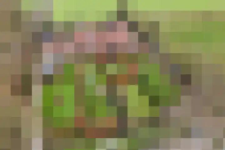 Uiterdijkenweg 7 C Luttelgeest thumbnail 14