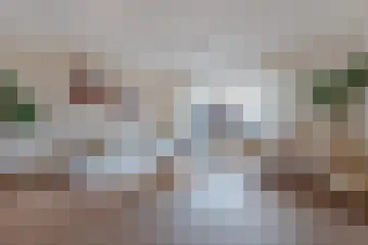 Uiterdijkenweg 7 C Luttelgeest thumbnail 19