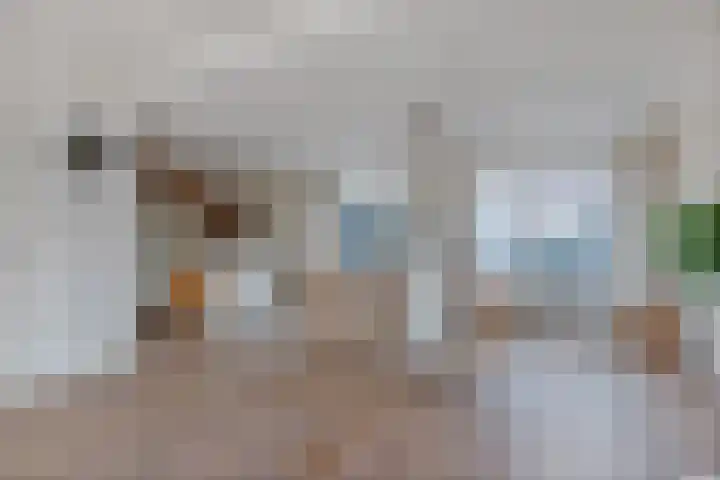 Uiterdijkenweg 7 C Luttelgeest thumbnail 22