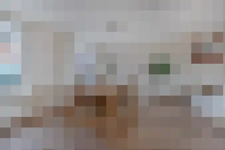 Uiterdijkenweg 7 C Luttelgeest thumbnail 23