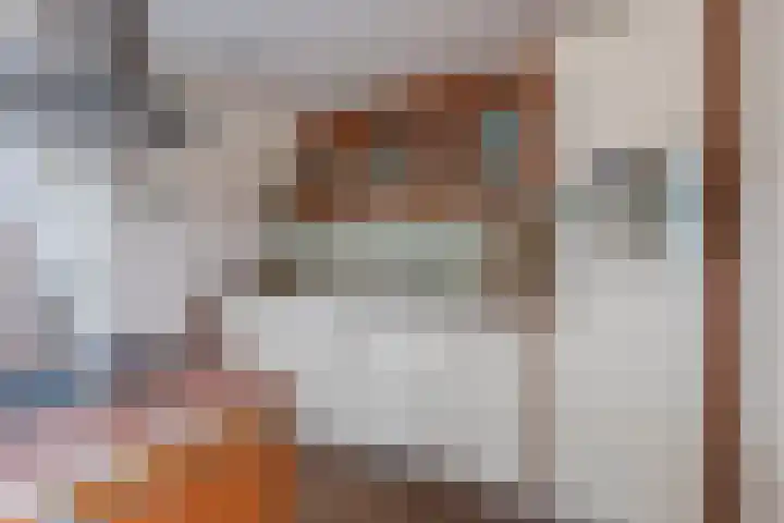 Uiterdijkenweg 7 C Luttelgeest thumbnail 25
