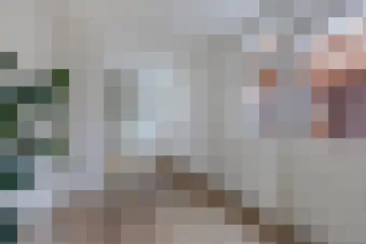 Uiterdijkenweg 7 C Luttelgeest thumbnail 29