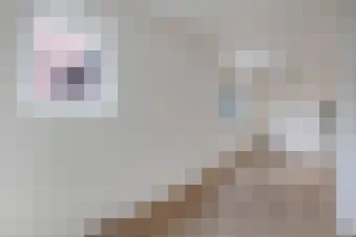 Uiterdijkenweg 7 C Luttelgeest thumbnail 30
