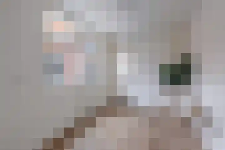 Uiterdijkenweg 7 C Luttelgeest thumbnail 31