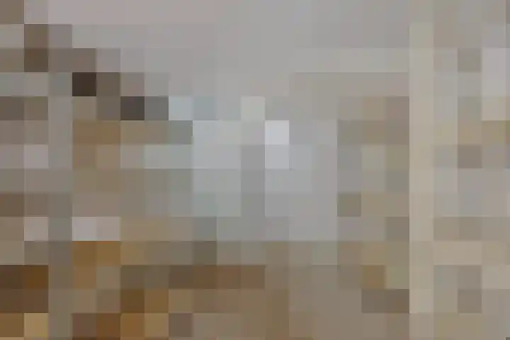 Uiterdijkenweg 7 C Luttelgeest thumbnail 32