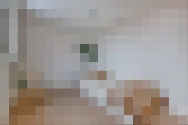 Uiterdijkenweg 7 C Luttelgeest thumbnail 45