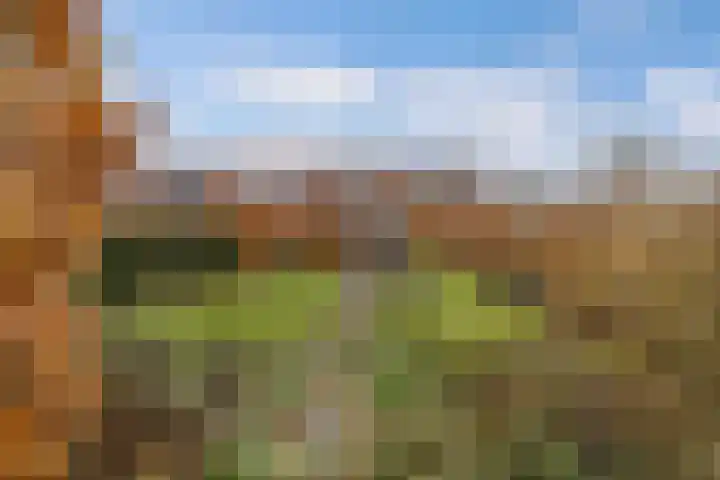 Uiterdijkenweg 7 C Luttelgeest thumbnail 5