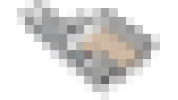Uiterdijkenweg 7 C Luttelgeest thumbnail 50