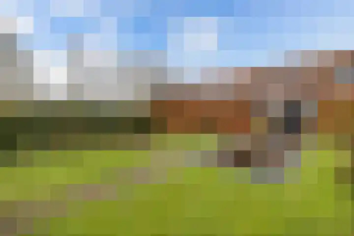 Uiterdijkenweg 7 C Luttelgeest thumbnail 7