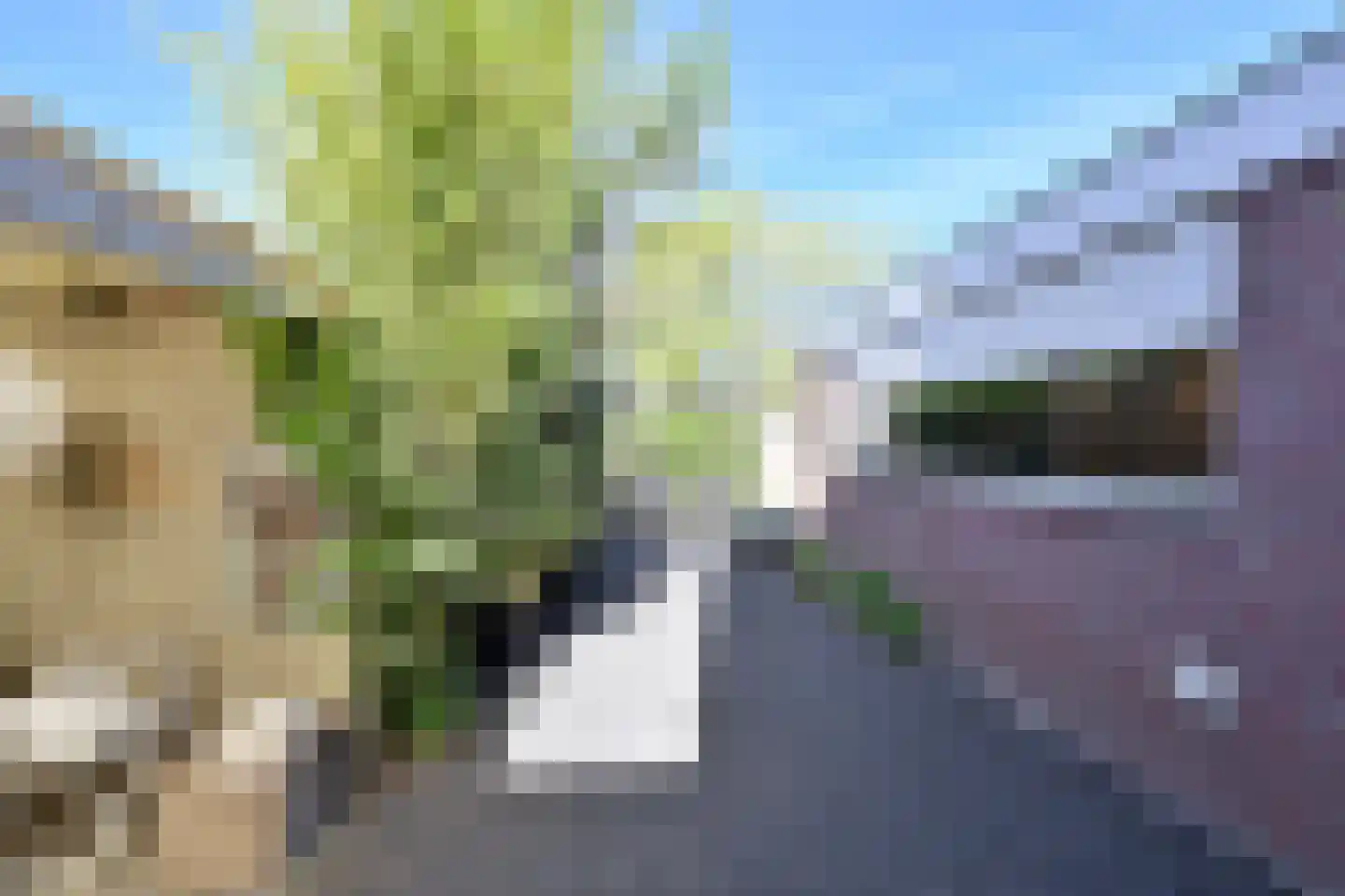 Uiterdijksehof 25 Nederhorst den Berg thumbnail 15