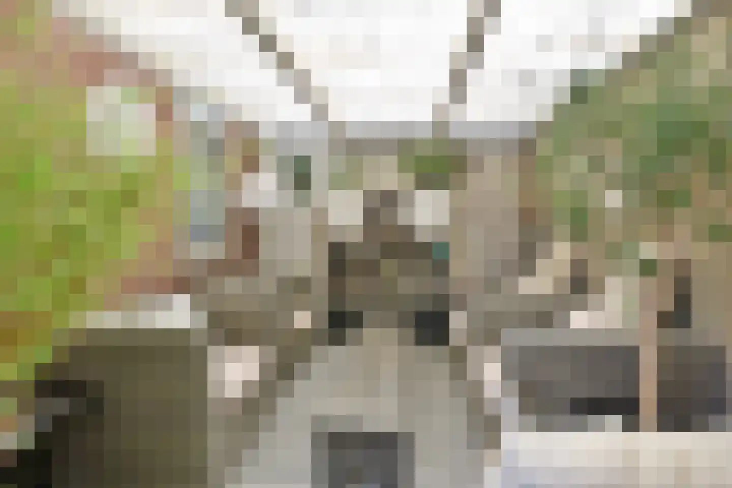 Uiterdijksehof 25 Nederhorst den Berg thumbnail 18