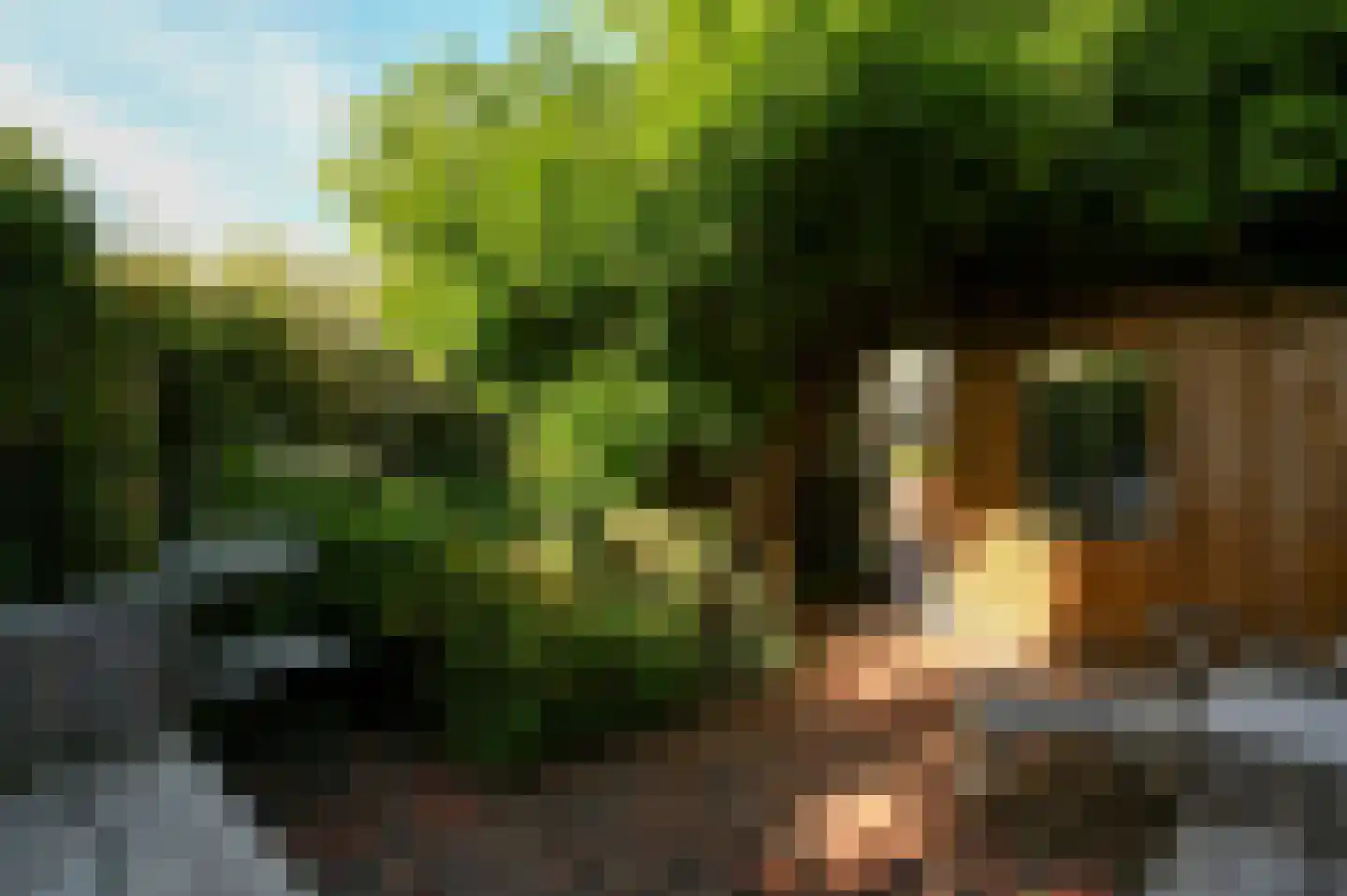 Uiterdijksehof 38 Nederhorst den Berg thumbnail 27