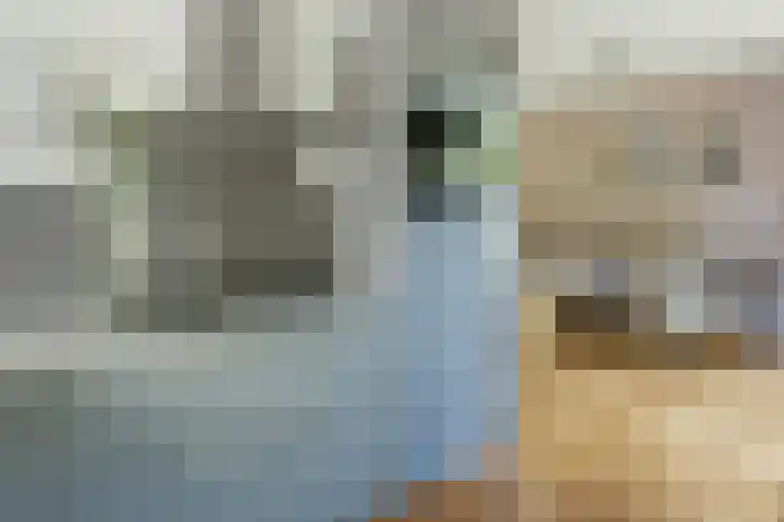 Uiterdijksehof 52 Nederhorst den Berg thumbnail 13