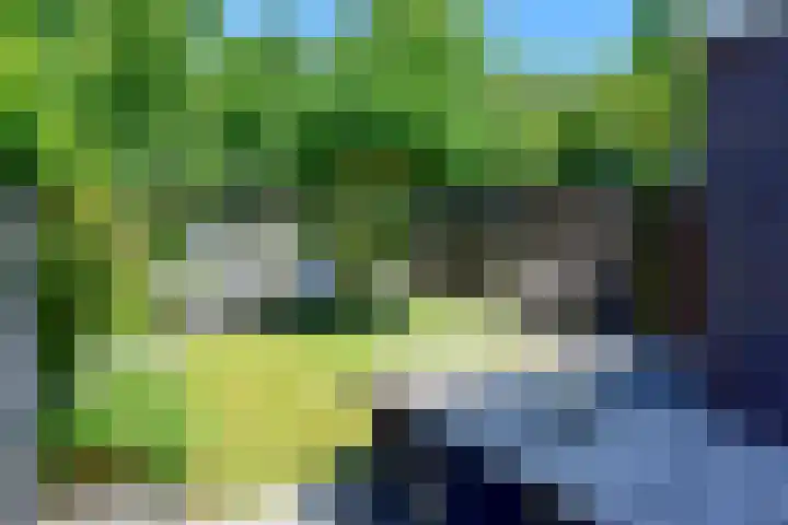 Uiterdijksehof 52 Nederhorst den Berg thumbnail 21