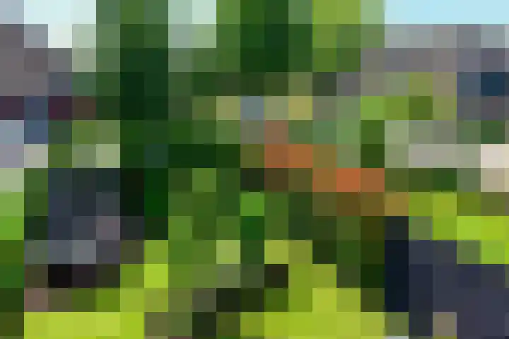 Uiterdijksehof 52 Nederhorst den Berg thumbnail 28
