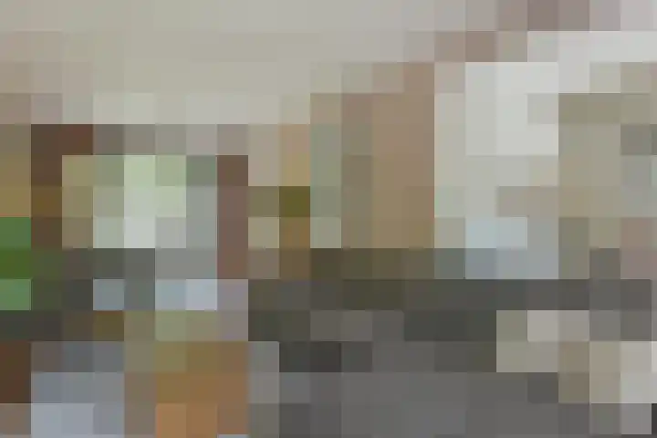 Uiterdijksehof 52 Nederhorst den Berg thumbnail 4