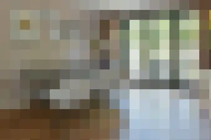 Uiterdijksehof 52 Nederhorst den Berg thumbnail 5