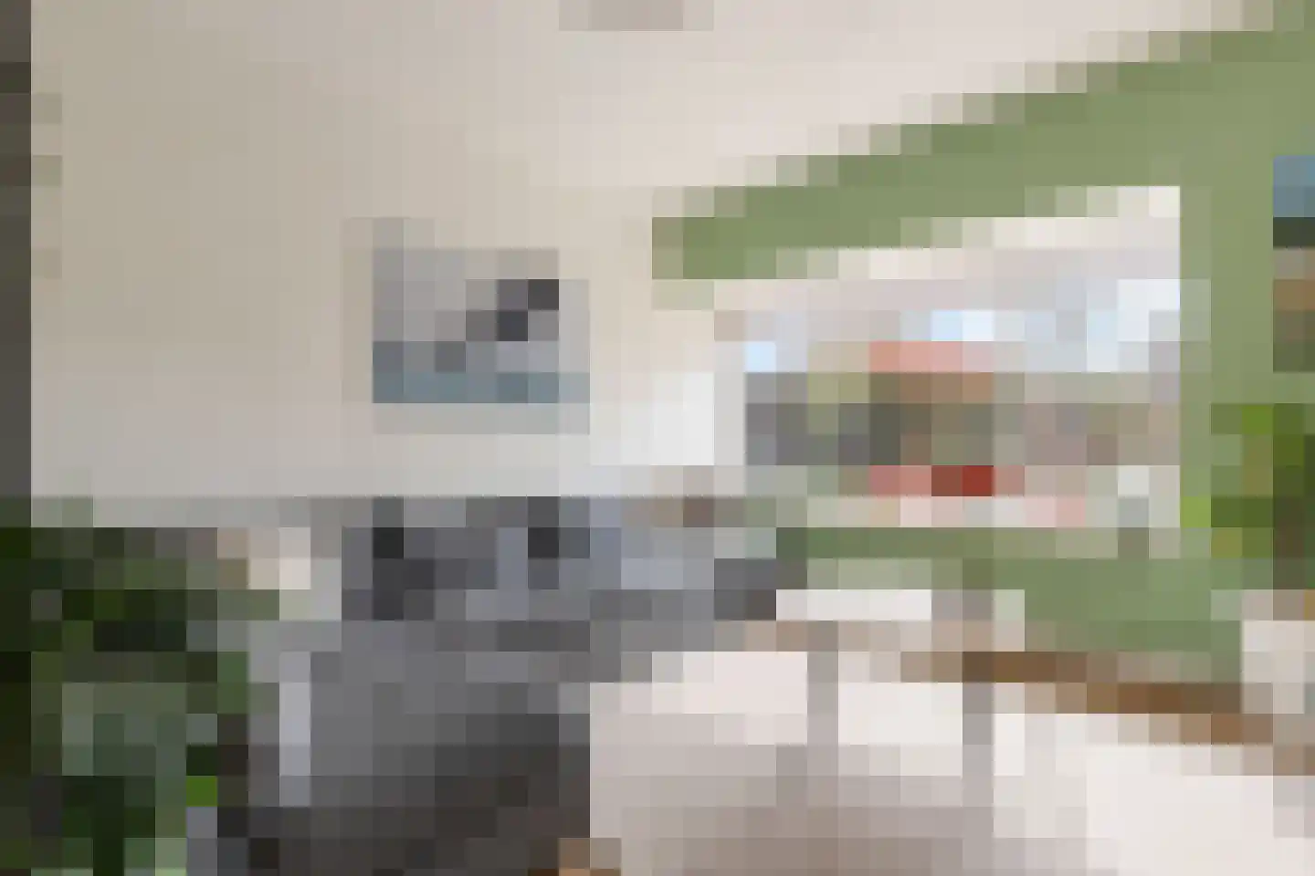 Uiterdijksehof 54 Nederhorst den Berg thumbnail 12
