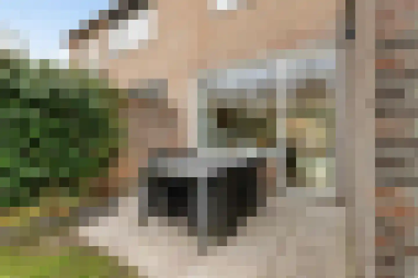 Uiterdijksehof 54 Nederhorst den Berg thumbnail 22