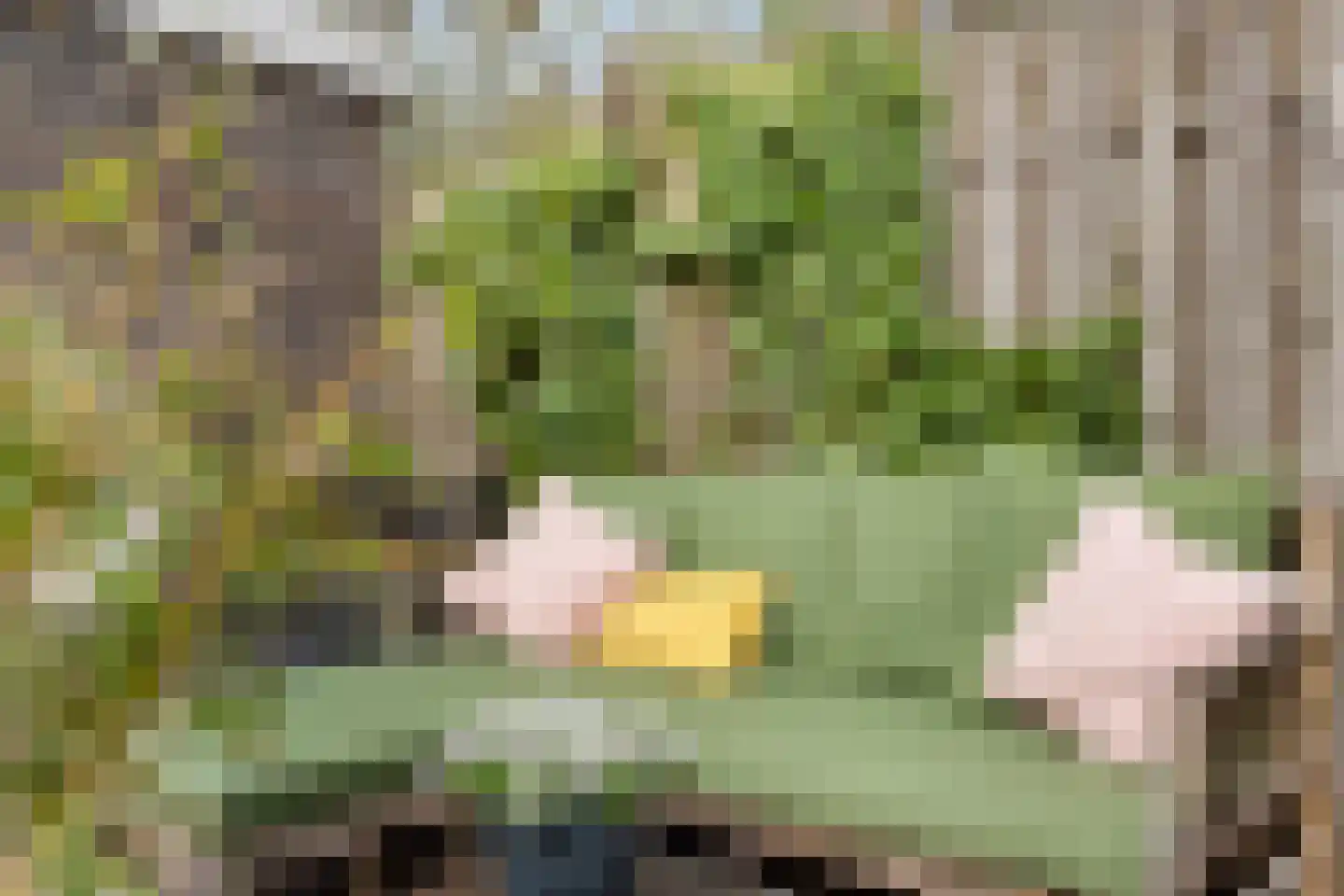 Uiterdijksehof 54 Nederhorst den Berg thumbnail 23