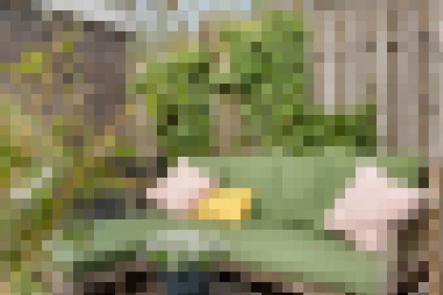 Uiterdijksehof 54 Nederhorst den Berg thumbnail 24