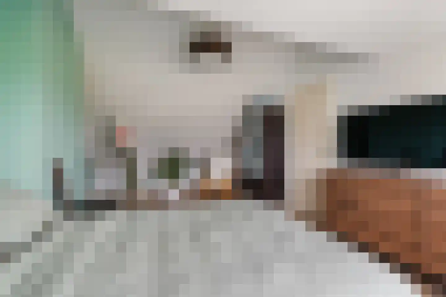 Uiterdijksehof 54 Nederhorst den Berg thumbnail 39