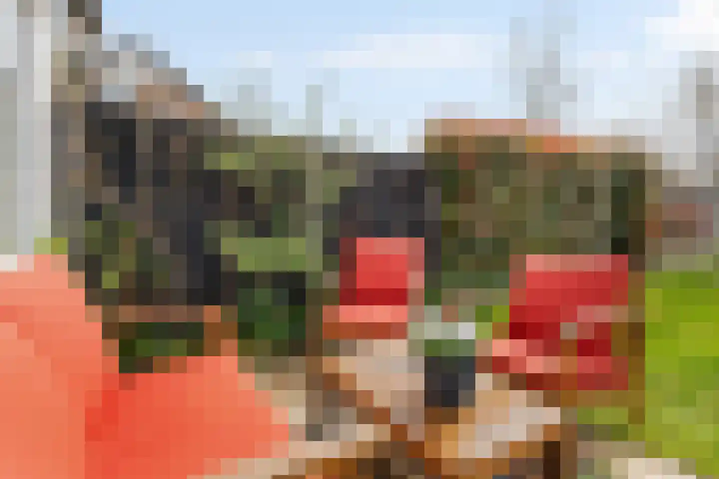Uiterdijksehof 54 Nederhorst den Berg thumbnail 8