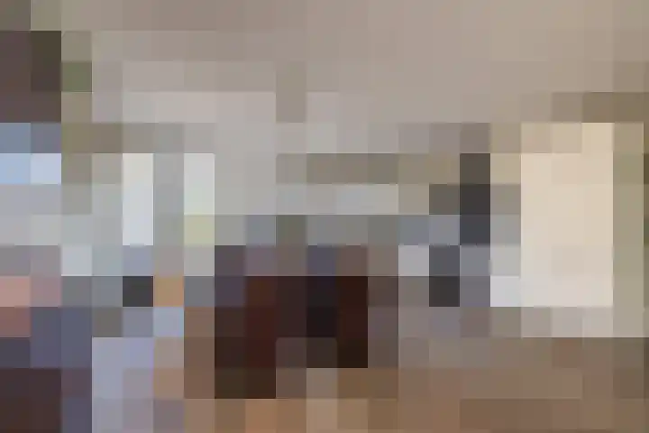 Uitermeer 17 Lisse thumbnail 11