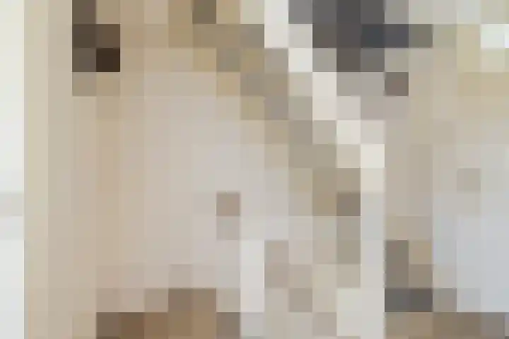Uitermeer 17 Lisse thumbnail 18