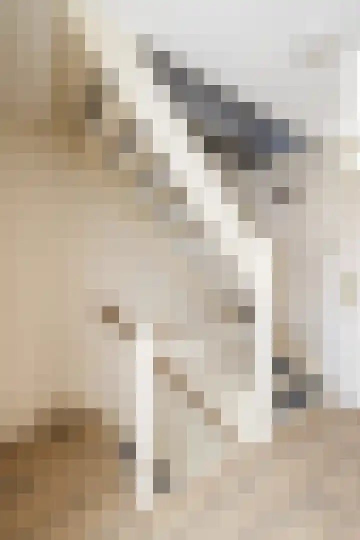Uitermeer 17 Lisse thumbnail 25