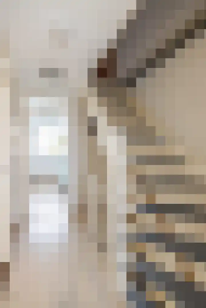 Uitermeer 17 Lisse thumbnail 26