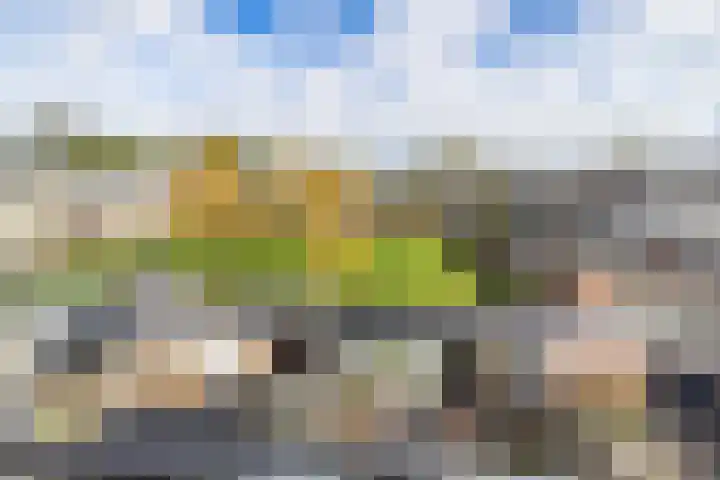 Uitermeer 17 Lisse thumbnail 32