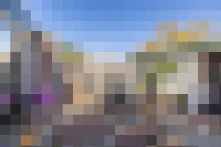 Uitermeer 17 Lisse thumbnail 33