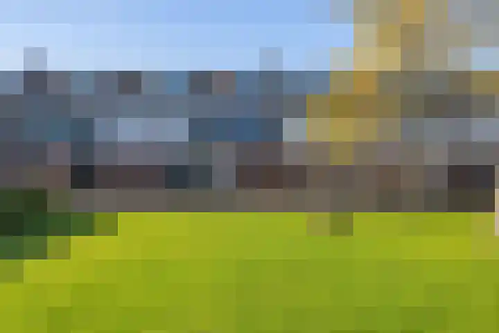 Uitermeer 17 Lisse thumbnail 36