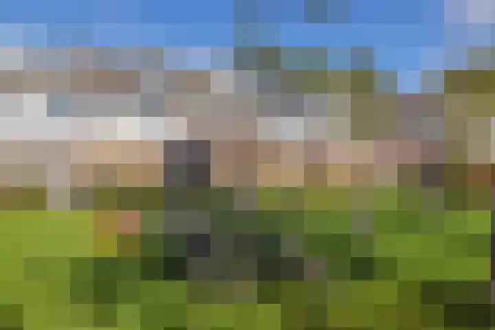 Uitermeer 17 Lisse thumbnail 37
