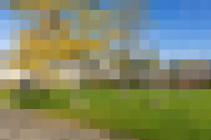 Uitermeer 17 Lisse thumbnail 38