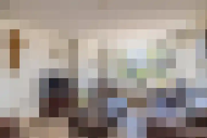 Uitermeer 17 Lisse thumbnail 7