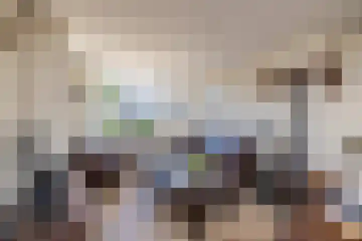Uitermeer 17 Lisse thumbnail 8