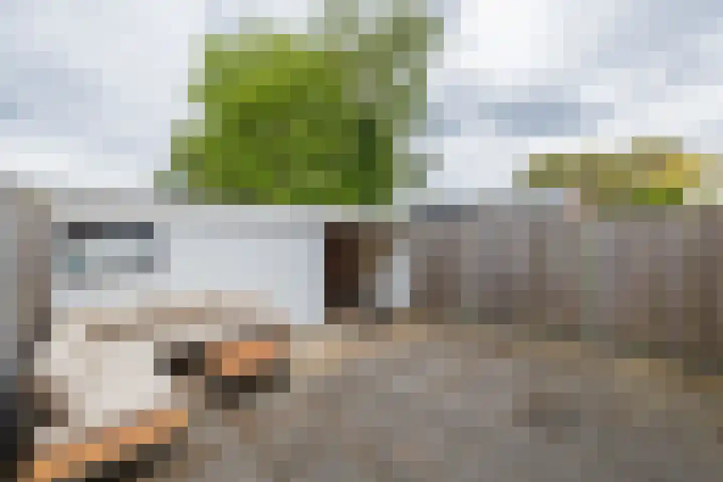 Uitermeer 31 Lisse thumbnail 18
