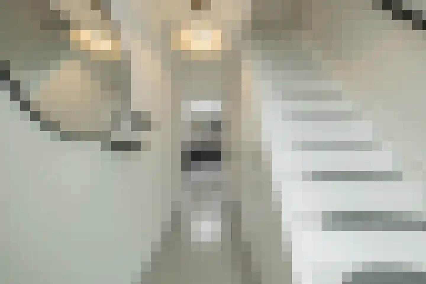 Uitermeer 31 Lisse thumbnail 21