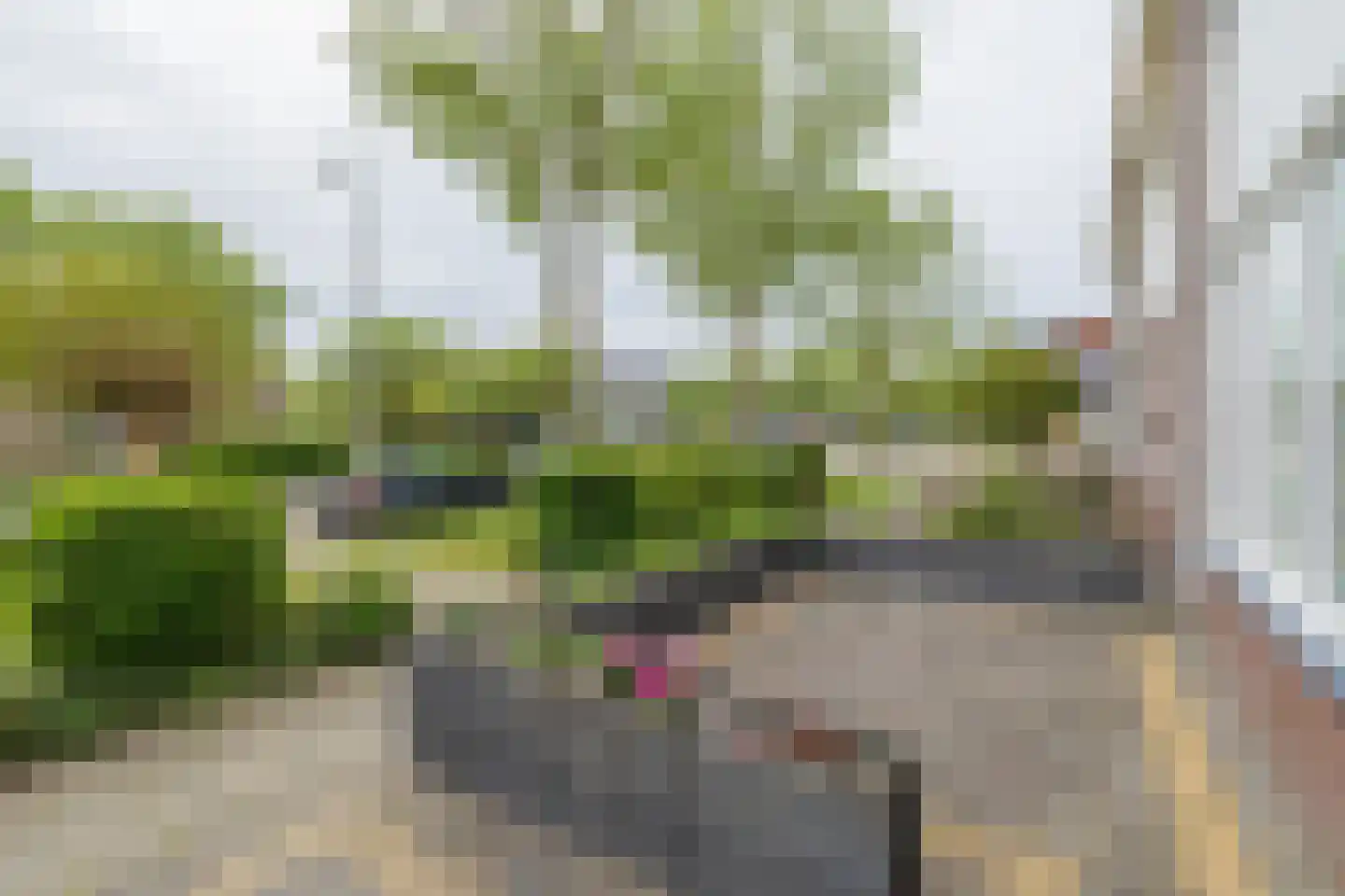 Uitermeer 31 Lisse thumbnail 39