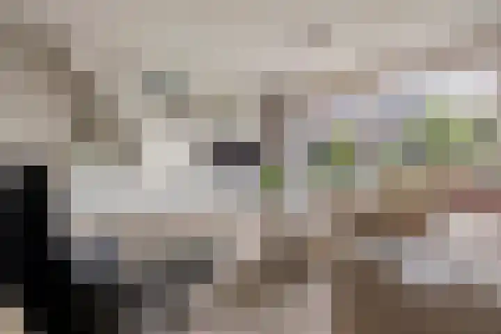 Uitermeer 36 Gorinchem thumbnail 8