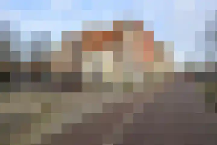 Uiterstegracht 1 H Leiden thumbnail 18