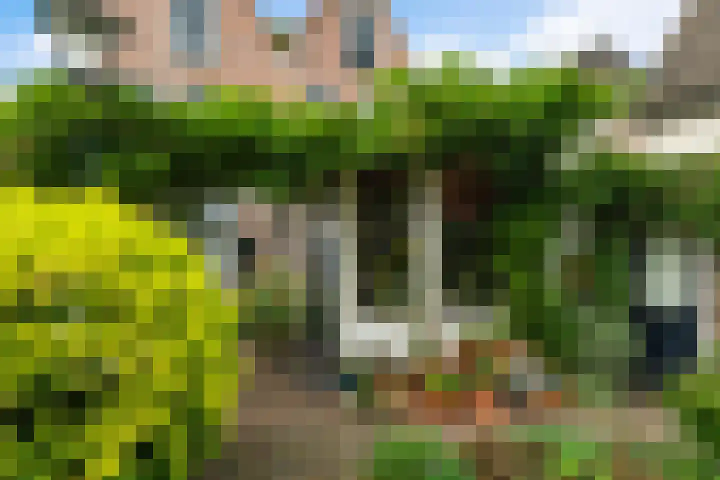 Uiterstegracht 152 Leiden thumbnail 26